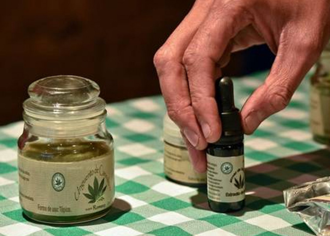 Denuncian freno en la aplicación de la ley de cannabis medicinal