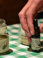 Denuncian freno en la aplicación de la ley de cannabis medicinal