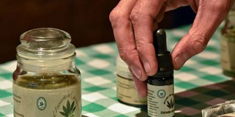 Denuncian freno en la aplicación de la ley de cannabis medicinal