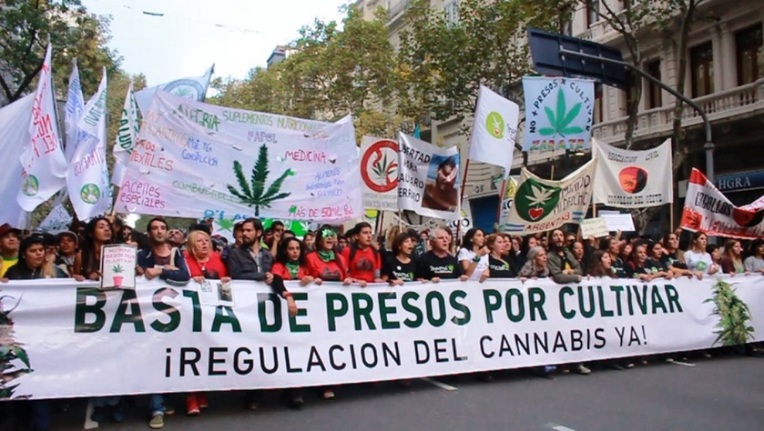 Empezó el debate para despenalizar el consumo de drogas