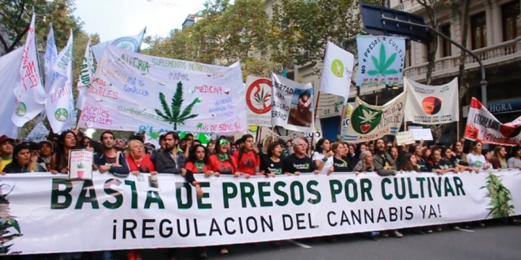 Empezó el debate para despenalizar el consumo de drogas