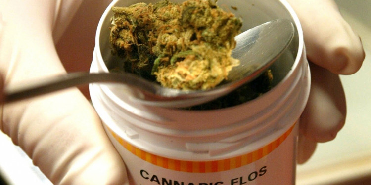 Cannabis medicinal: "se logra disminuir a cero situaciones de psicoactividad"