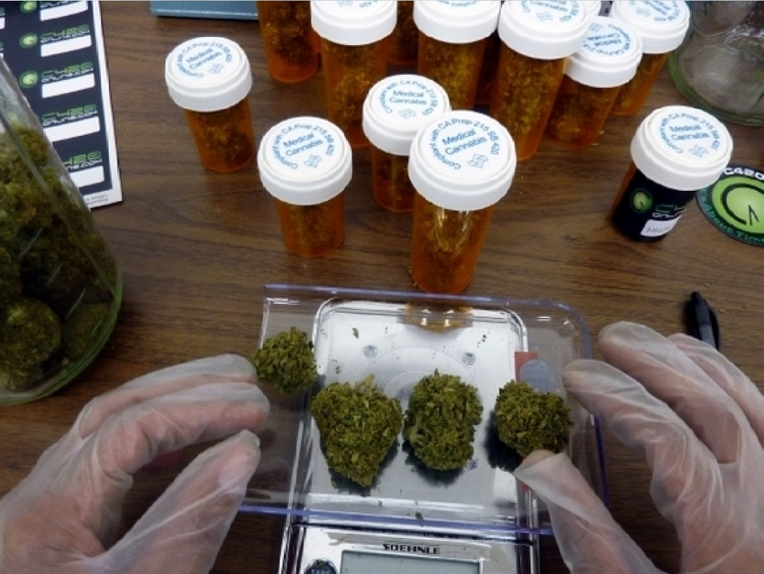 Acción Canábica pide por la reglamentación del uso medicinal de la Marihuana 