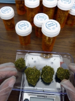 Acción Canábica pide por la reglamentación del uso medicinal de la Marihuana 