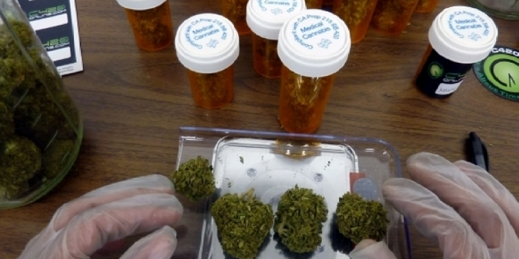 Acción Canábica pide por la reglamentación del uso medicinal de la Marihuana 
