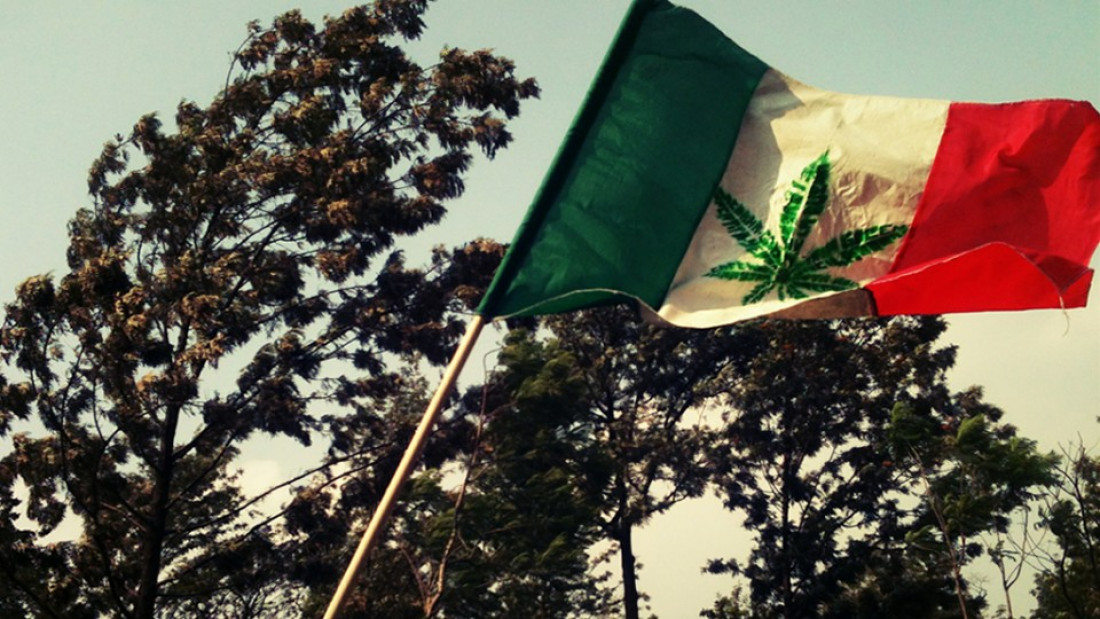 México aprueba el uso recreativo de la marihuana