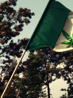 México aprueba el uso recreativo de la marihuana