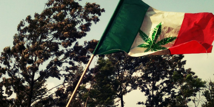 México aprueba el uso recreativo de la marihuana