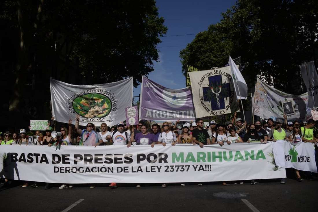 Proyecto de ley que propone despenalizar el cultivo y consumo personal de drogas