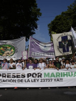 Día Internacional de la Marihuana: cuál es el camino hacia la legalización del consumo