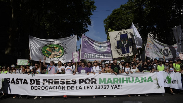 imagen Proyecto de ley que propone despenalizar el cultivo y consumo personal de drogas
