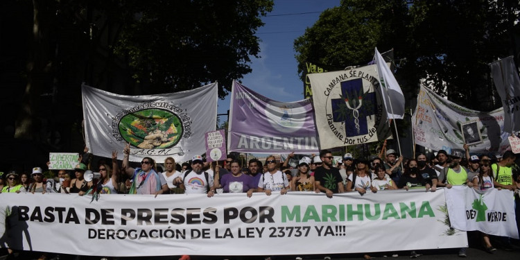 Día Internacional de la Marihuana: cuál es el camino hacia la legalización del consumo