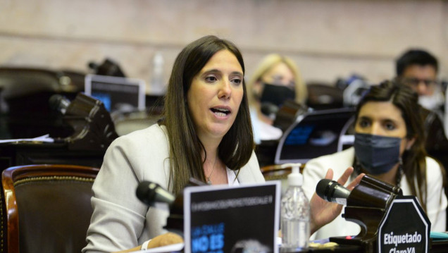 imagen Moratoria previsional: qué posibilidades hay de extender la ley