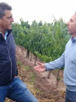 Jorge Difonso: "Mendoza debe acompañar a la Nación reduciendo la tarifa eléctrica al sector agropecuario"