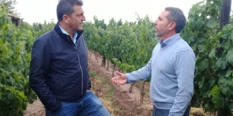 Jorge Difonso: "Mendoza debe acompañar a la Nación reduciendo la tarifa eléctrica al sector agropecuario"