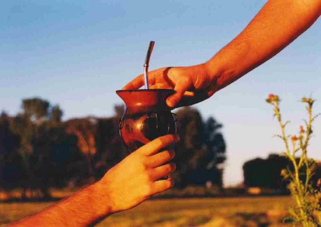 Día del Mate: los secretos de la infusión que ya es boom mundial