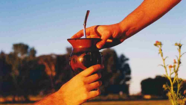 imagen Día del Mate: los secretos de la infusión que ya es boom mundial
