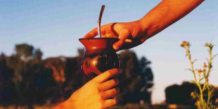 Día del Mate: los secretos de la infusión que ya es boom mundial