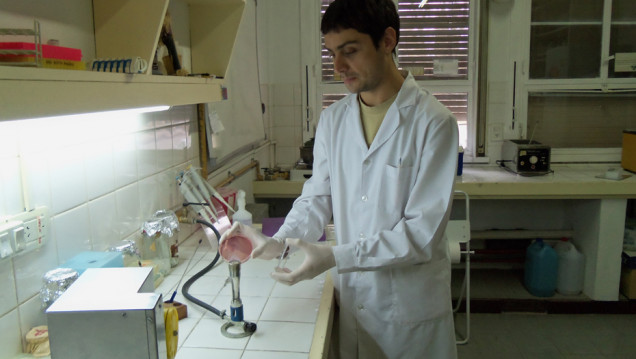 imagen Avances en la prevención del Síndrome Urémico Hemolítico