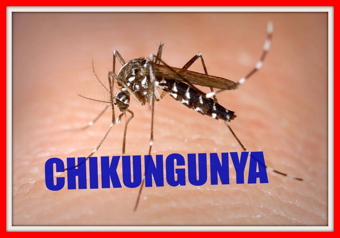 Se confimaron dos casos de Chikungunya en Mendoza