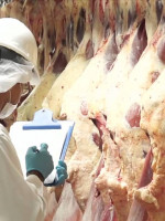 Argentina exportará carne a Europa después de 13 años