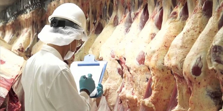 Argentina exportará carne a Europa después de 13 años