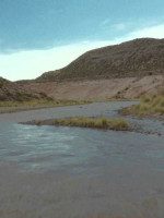 Detectaron niveles de toxicidad en el río Tunuyán usando gusanos