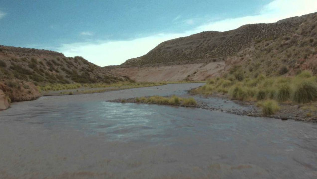 imagen Detectaron niveles de toxicidad en el río Tunuyán usando gusanos