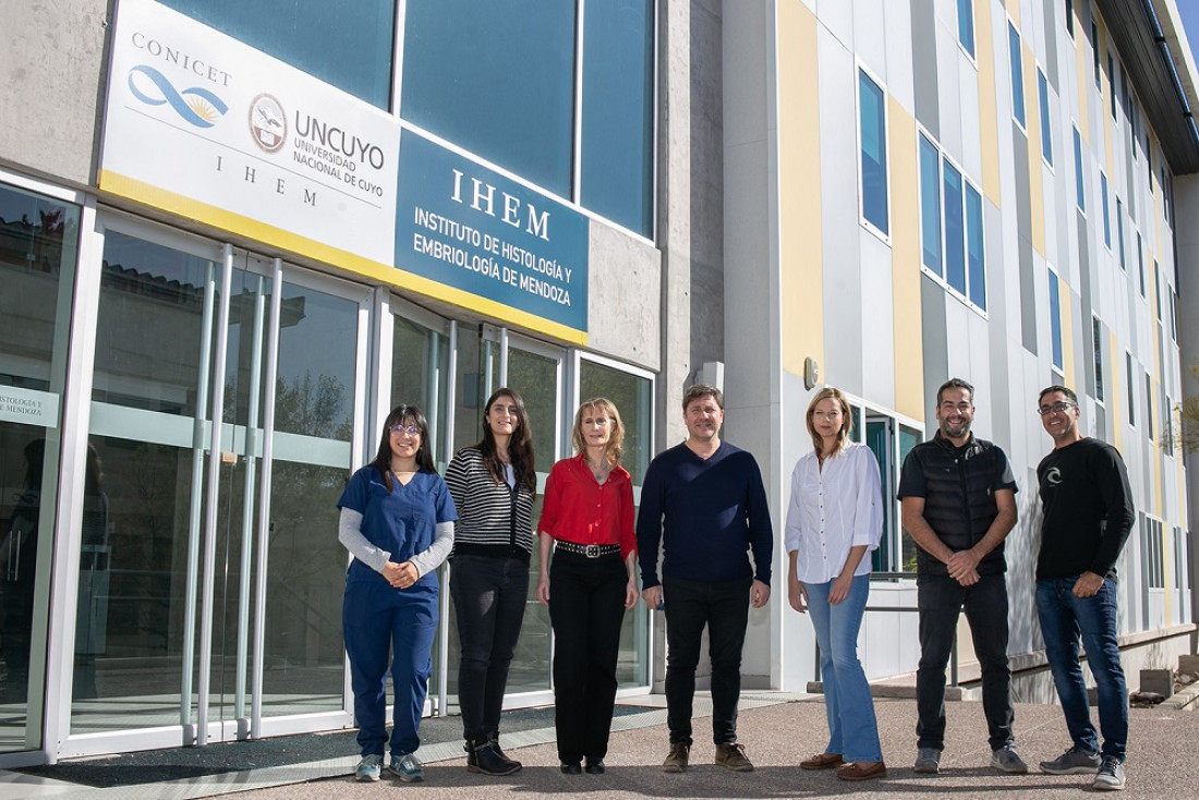 Hallazgo de un equipo de la UNCUYO y el Conicet para una fecundación exitosa