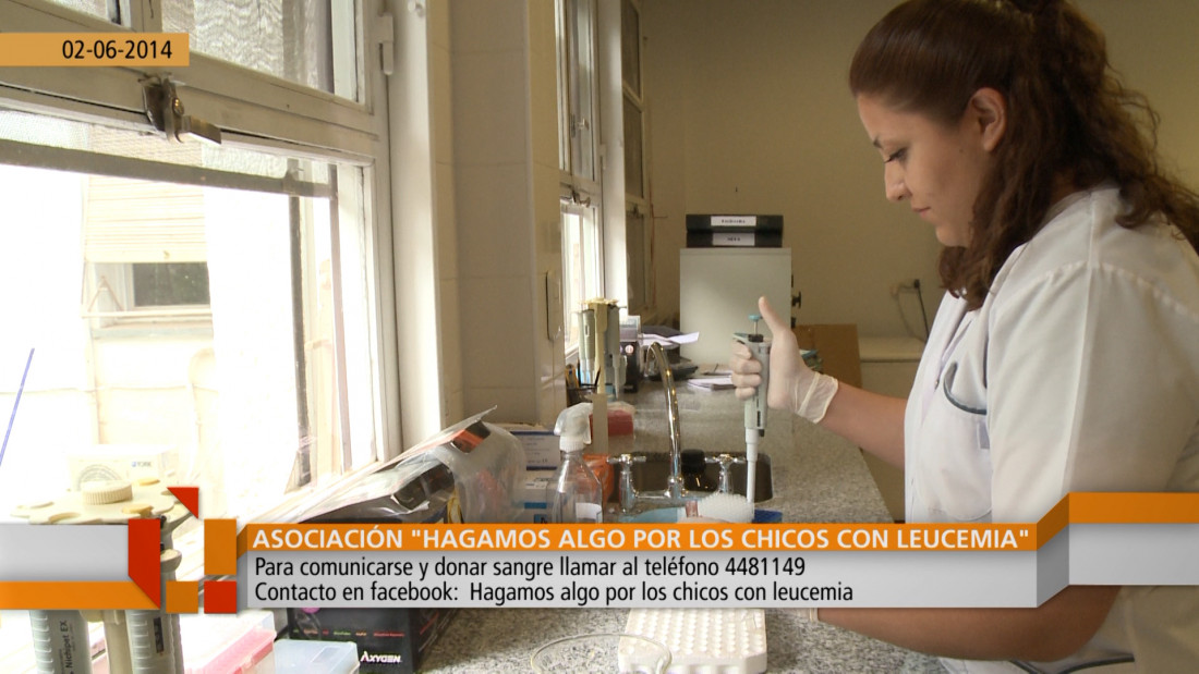 Informe asociación  "hagamos algo por los chicos con leucemia" 13-06