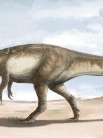 Descubren a Maip, uno de los últimos dinosaurios antes de la extinción