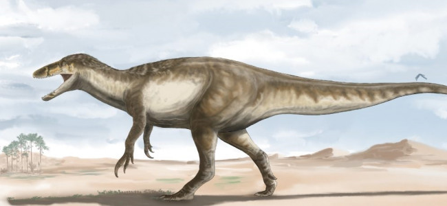 Descubren a Maip, uno de los últimos dinosaurios antes de la extinción