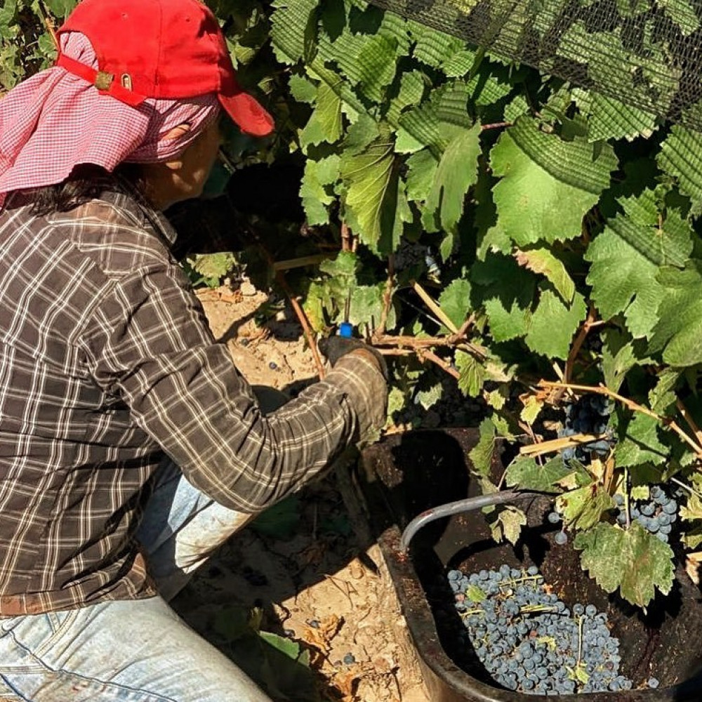 Los intendentes del Gran Mendoza adhirieron al programa Mendoza Activa 