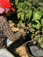 Los intendentes del Gran Mendoza adhirieron al programa Mendoza Activa 