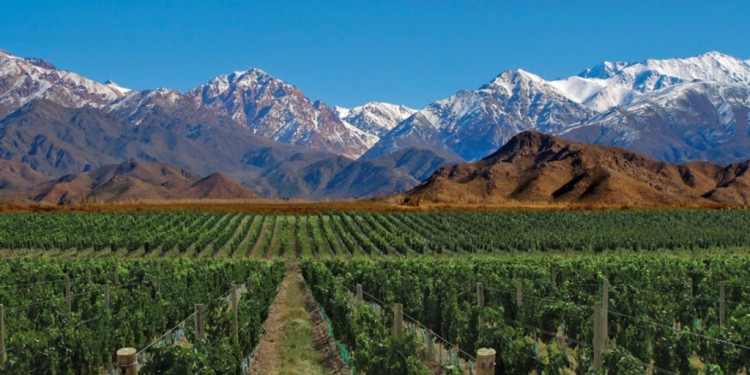 Mendoza, entre los destinos más elegidos para este invierno