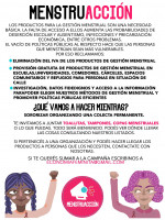 La Campaña MenstruAcción ya tiene sus proyectos en el Congreso
