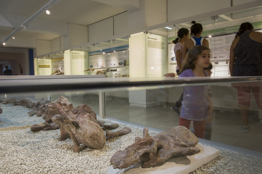 imagen Cornelio Moyano: un museo que alberga la historia de la vida