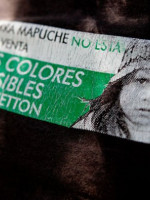 Conflicto mapuche o conflicto de tierras en manos extranjeras