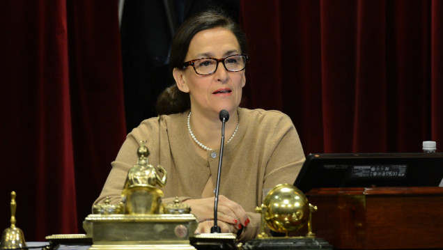 imagen Michetti pidió sesión especial para tratar el pedido de allanamiento a CFK
