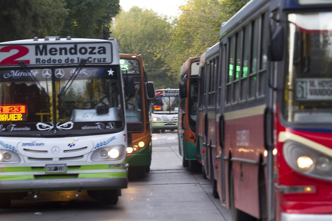 El nuevo sistema de colectivos comenzará funcionar en enero