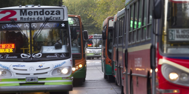 El nuevo sistema de colectivos comenzará funcionar en enero