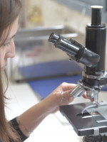 Mujeres en Ciencia, biólogas en acción