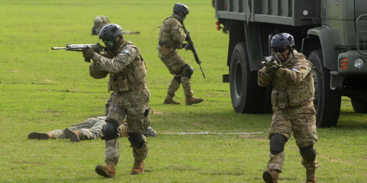 Reconversión de las Fuerzas Armadas: en qué consiste