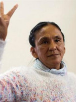 La CIDH visitará a Milagro Sala en la cárcel de Jujuy