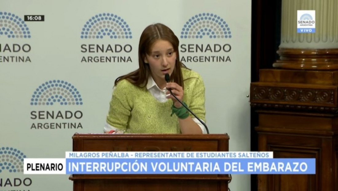 Milagros Peñalba: "Muchas chicas son obligadas a gestar y maternar" 