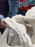 Desmienten que la momia hallada en Nazca sea de origen extraterrestre