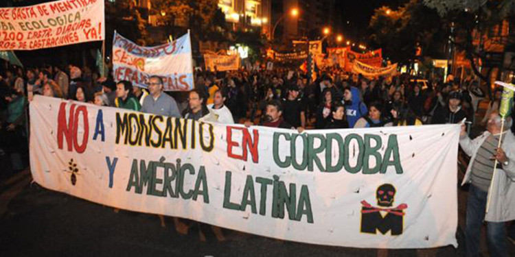 Se intenta frenar el bloqueo a Monsanto en Córdoba con una medida judicial