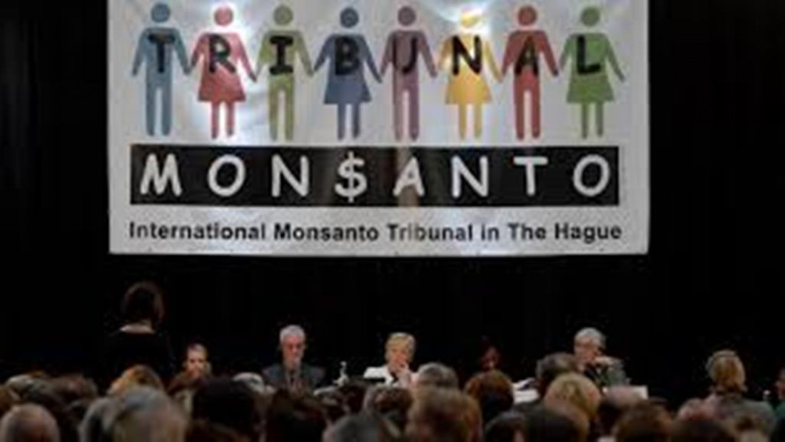 Hoy se sabrá el veredicto del Tribunal de La Haya contra Monsanto