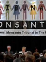 Hoy se sabrá el veredicto del Tribunal de La Haya contra Monsanto