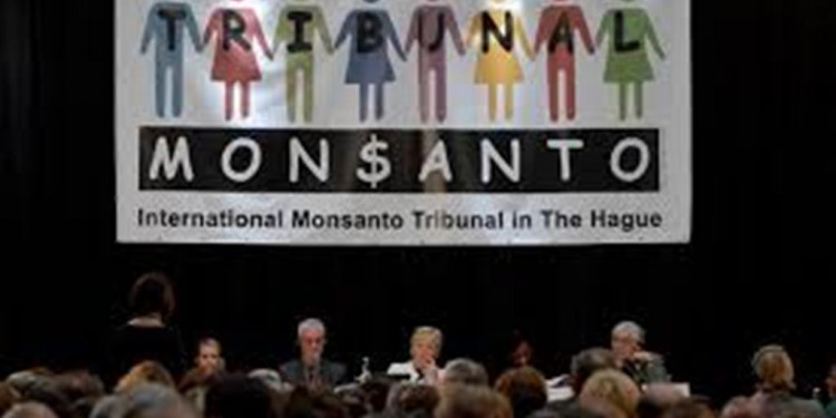 Hoy se sabrá el veredicto del Tribunal de La Haya contra Monsanto